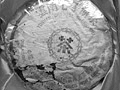 雪印青餅80年代7532プーアール茶